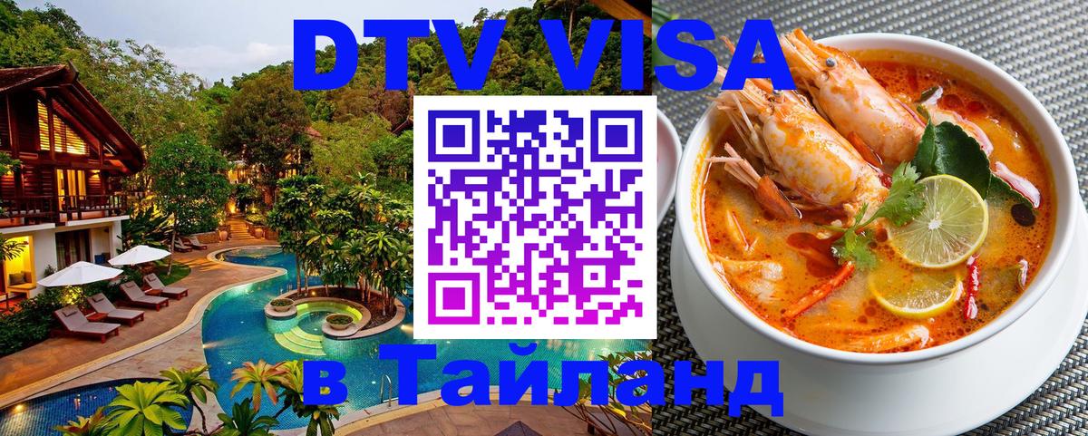 Сколько стоит DTV виза — актуальные цены, оформление даже без документов - Кишинёв 